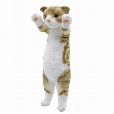 【スコティッシュフォールド　茶色】たっちぃZooにゃんこライト【3/16入荷】