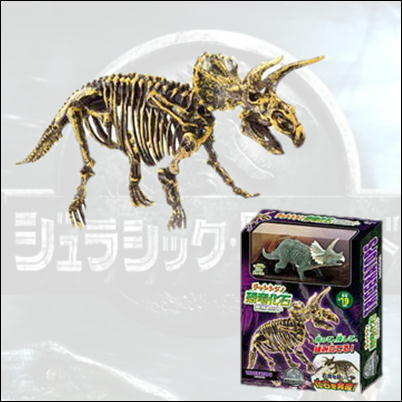 【トリケラトプス】チャレンジ！恐竜化石発掘セット