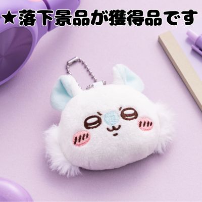 ■ [Flying squirrel] Chiikawa mascot mirror