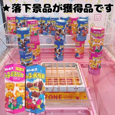 Tabekko Animal Hexagonal Box (S) 2 Types [Best before date: 2026/02/19]