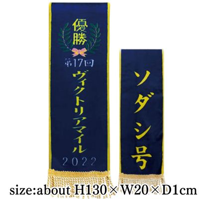 [Victoria Mile] Thoroughbred Collection Winner Ray Muffler 2