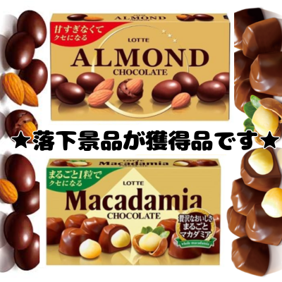 ■Lotte Macadamia & Almond Chocolate Mix [Best before date: June 2026]