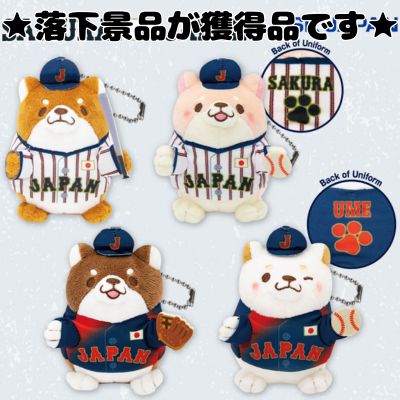■Samurai Japan Loyal Dog Mochishiba Mascot