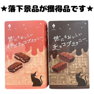 ■Two types of the world's most delicious brownie book boxes [Best before date: 2026/08/07]