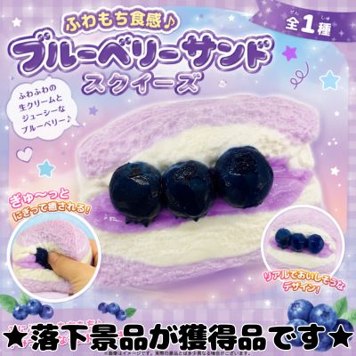 ■ Squeeze Blueberry Sandwich