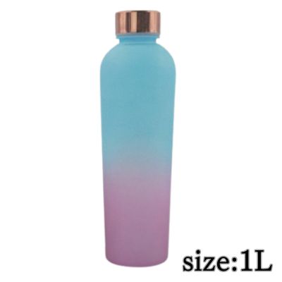 [A: Blue & Pink] Motivational Colorful Water Bottle